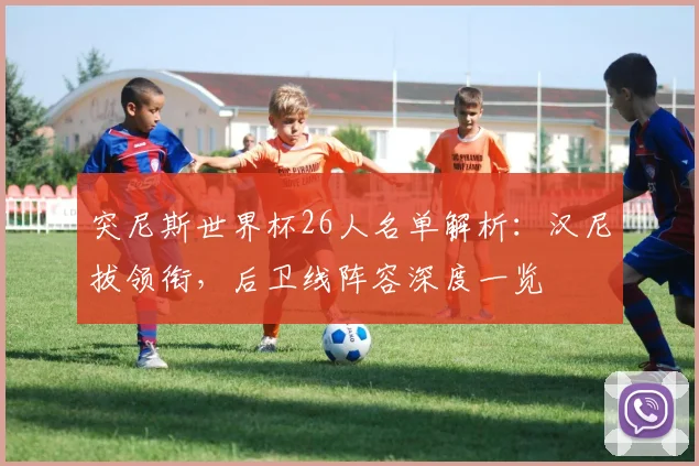 突尼斯世界杯26人名单解析:汉尼拔领衔,后卫线阵容深度一览